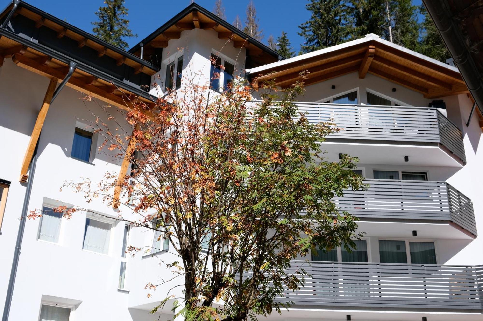 Cesa Sot Bosch Apartment